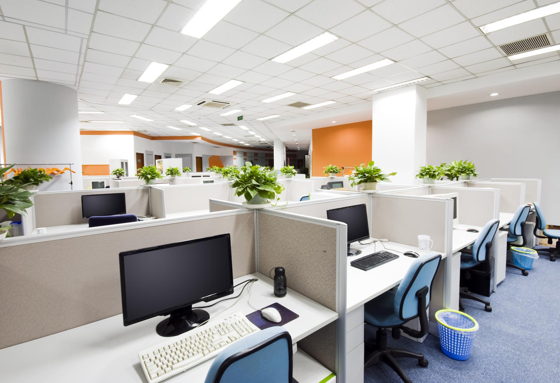 Cost-Effective Commercial Office Cleaning Service In Hunua